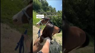 riding lesson vlog! #equestrian #ridingvlogs