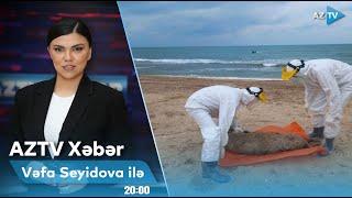 Vəfa Seyidova ilə AZTV XƏBƏR (20:00) | 06.03.2025