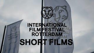 IFFR Short Film Highlights | IFFR 2020