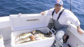 Cod Fishing off Cape Cod with Hogy Uber Diamond Jigs