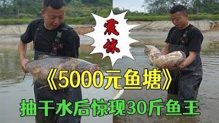 花五千承包這個魚塘，抽幹水後竟然出現“30斤”巨物？#三農 #戶外#農村生活#小飛哥#抓魚vlog