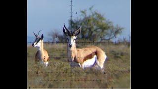 Unforgettable Springbuck Hunting in South Africa