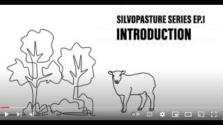 SILVOPASTURE SERIES: EP 1 INTRODUCTION