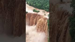 Luoping Jiulong Waterfall ushered in a magnificent time!The muddy current is rolling down