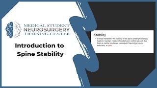 Introduction to Spine Stability