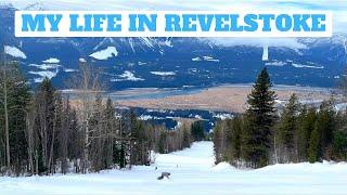 Revelstoke | A Day in the Life of The Travelling Scientist