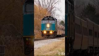 My first train of 2025! VIA P071 Westbound at Belle River (1/1/2025) #train #viarail