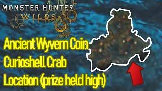 Monster Hunter Wilds Ancient Wyvern Coin location, curioshell crab, (A Prize Held High achievement)