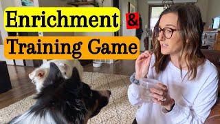 Combined Enrichment & Training Game to Tire Your Dog Out