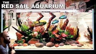 The Red Sail Aquarium 4ft Aquascape Tutorial