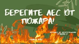 Береги лес от пожара!