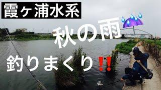 【霞ヶ浦水系　バス釣り】雨の中でも楽しくバス釣りをすれば釣れまくる説