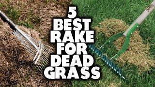 5 Best Rakes for Dead Grass: Ultimate Guide (Our Best List)