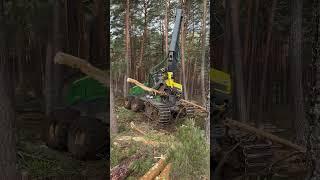 The Road of the Wood”The Power of the Harvester at full throttle” #lumberjack #forest #johndeere