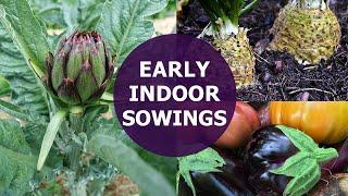 Sara's top 5 vegetables to sow indoors