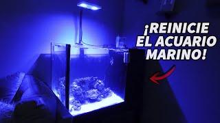 TUVE que REINICIAR MI ACUARIO MARINO por esta razón | AcuariosLP