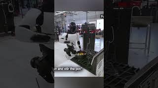 Робот от Tesla стал домработницей