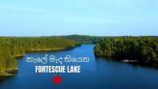 කැලේ මැද තියෙන ලස්සන Fortescue Lake | A Relaxing Getaway to Fortescue Lake | Cottage Vlog