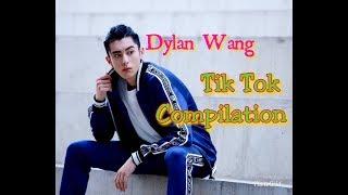 Dylan Wang TikTok Compilation | Meteor Garden