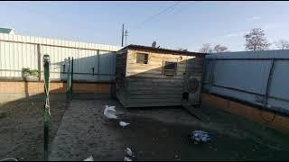 Прибавление жителей в утином дворе ! Только голубей !