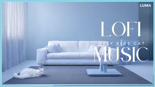 Lofi Grey Blue Cat Music｜療癒音樂、輕快音樂、放鬆音樂、Healing、Light、Relaxing Music｜Vol.177｜2025.01.05