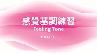 感覺基調 練習 賽斯 Feeling Tone from The Seth Material