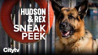 Exclusive INTERVIEW With The Cast of Hudson & Rex | Sundays on Citytv