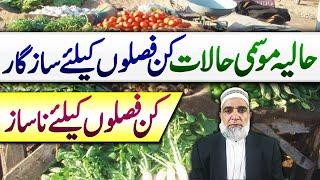 Impact of current Weather conditions on different crops || Crop Reformer