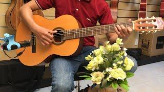 Review đàn guitar Cordoba C1 Full | Bán Cordoba C1 Full