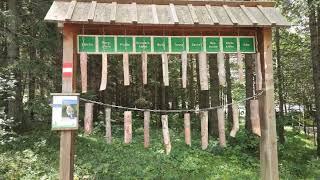 Wald Wandern Niederösterreich Streichelzoo Wildgehege Tiere Naturpark Wildpark Hohe Wand Spielplatz