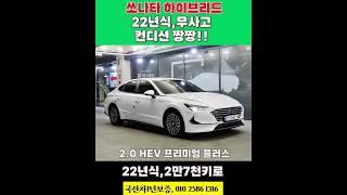 쏘나타 하이브리드! 컨디션 짱짱한 중고 시세는? #개척교회지원 #중고차#쏘나타