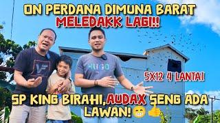 ON PERDANA DIMUNA BARAT‼️ RBW 5X12 4 LANTAI. SP KING BIRAHI BERSAMA AUDAX SENG ADA LAWAN