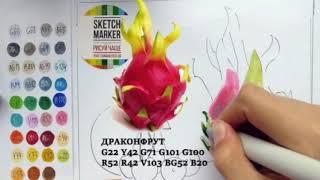 Рисуем фрукты набором маркеров SKETCHMARKER Product 36 set