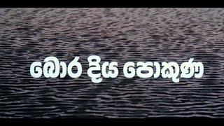 boradiya Pokuna  | බොර දිය පොකුණ Full Length Movie