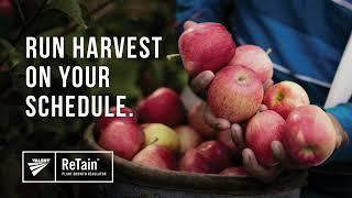 How to Maximize Apple Harvest Management and Maintain Post-Harvest Fruit Quality