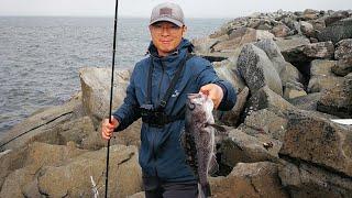 Jetty Fishing for Black Rockfish | How to Do Jetty Fishing in a Super Windy Day