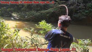 Mancing Ikan Jelawat Di Tengah Hutan Pedalaman Kalimantan Timur...!!