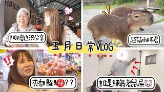 【日常VLOG】阿嬤近況回報！男女團練舞啦XD樹林親子咖啡廳！感肝愛上香腸㊙️？