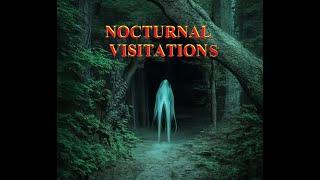 Andrix Mental Orchestra - Nocturnal Visitations