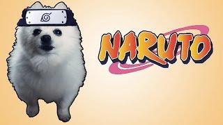 MÚSICA DE BATALHA DO NARUTO em CACHORRÊS