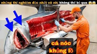 Thí Nghiệm Thú vị cực độc lạ của anh bảy || review giải trí