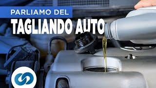 Ogni quanto, bisogna fare il TAGLIANDO AUTO?