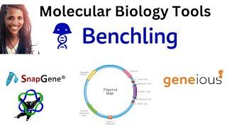 Top MOLECULAR BIOLOGY Software TOOLS Benchling, SnapGene, Geneious, ApE