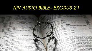 EXODUS 22 NIV AUDIO BIBLE (with text)