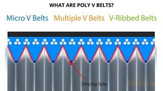 What are Poly V Belts? || Belts: Poly V Belts Classifications Course Preview