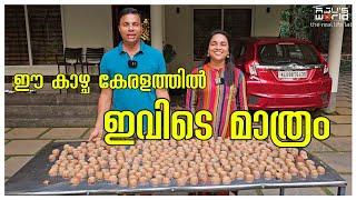 ഇത് പോലെ ഒരു ആഘോഷം കണ്ടിട്ടുണ്ടോ/Deepavali celebration/Family day /Family Festival/AJU'S WORLD