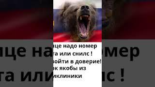 20 октября 2024 г.