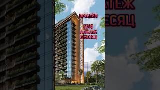 Квартира в Батуми за 500$ в месяц