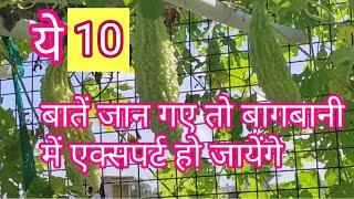 10  important tips for terrace garden