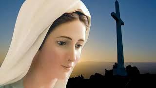 The hymns of the Virgin Mary تراتيل مريم العذراء